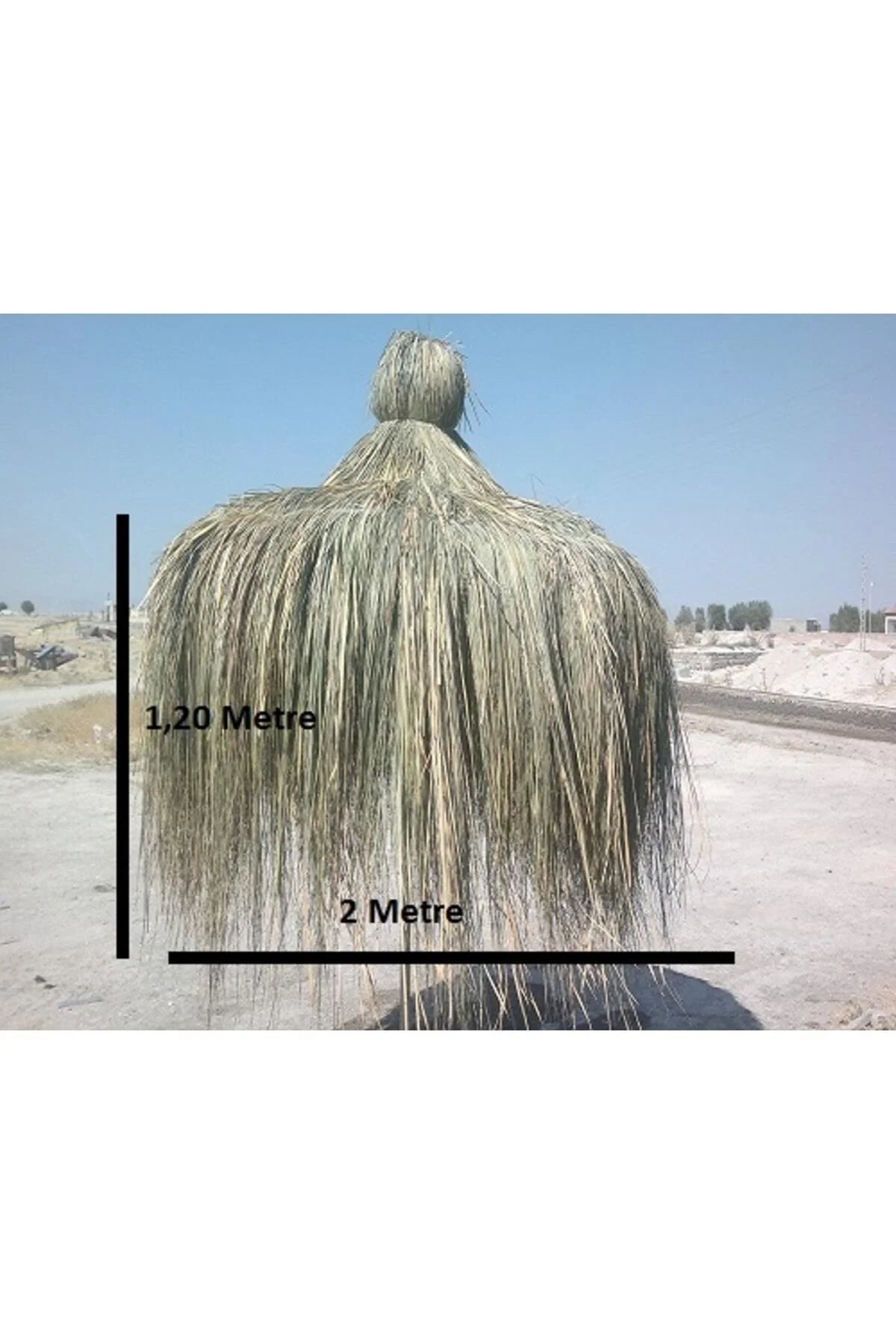 Hasır Püskül Otu Saçaklı Ot Dekoratif Amaçlı Kullanılır 1 Metre X 2 Metre