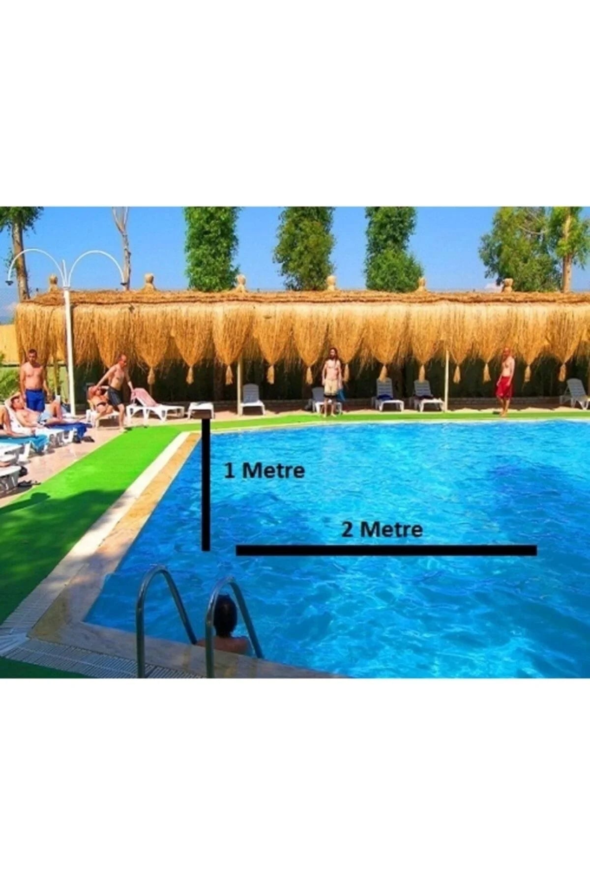 Hasır Püskül Otu Saçaklı Ot Dekoratif Amaçlı Kullanılır 1 Metre X 2 Metre