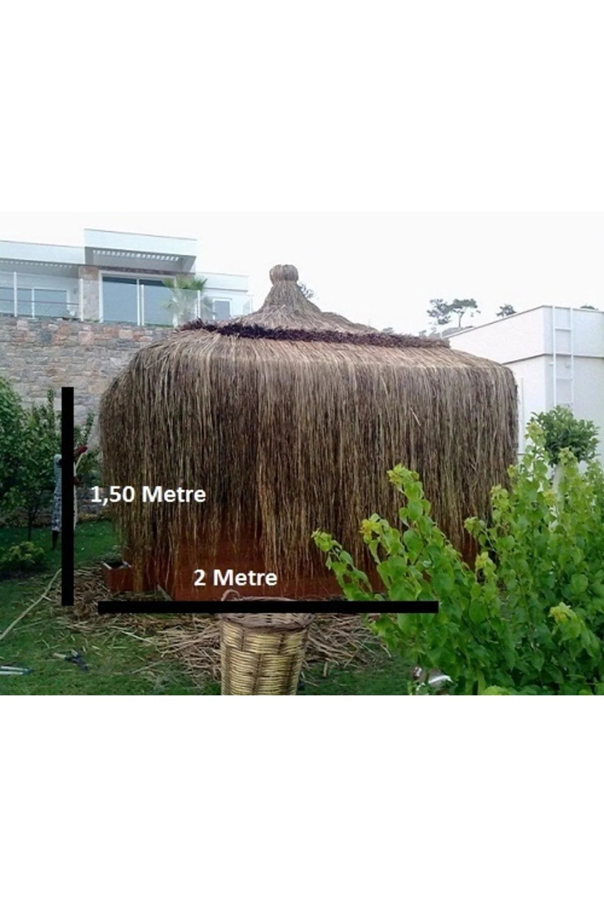 Hasır Püskül Otu Dekoratif Amaçlı Kullanılır 1,50 Metre X 2 Metre